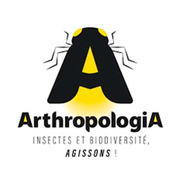logo de l'association arthropologia