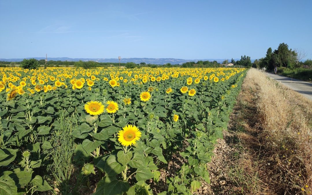 L&rsquo;année agricole 2025 sur la ferme