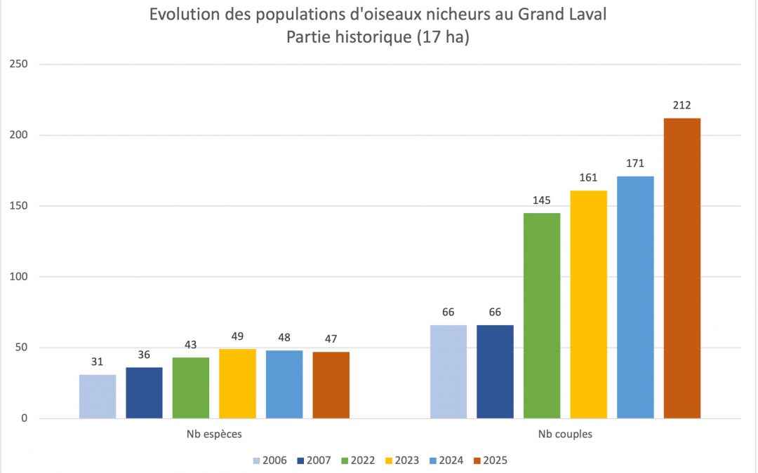 Les oiseaux nicheurs en 2025 sur la ferme